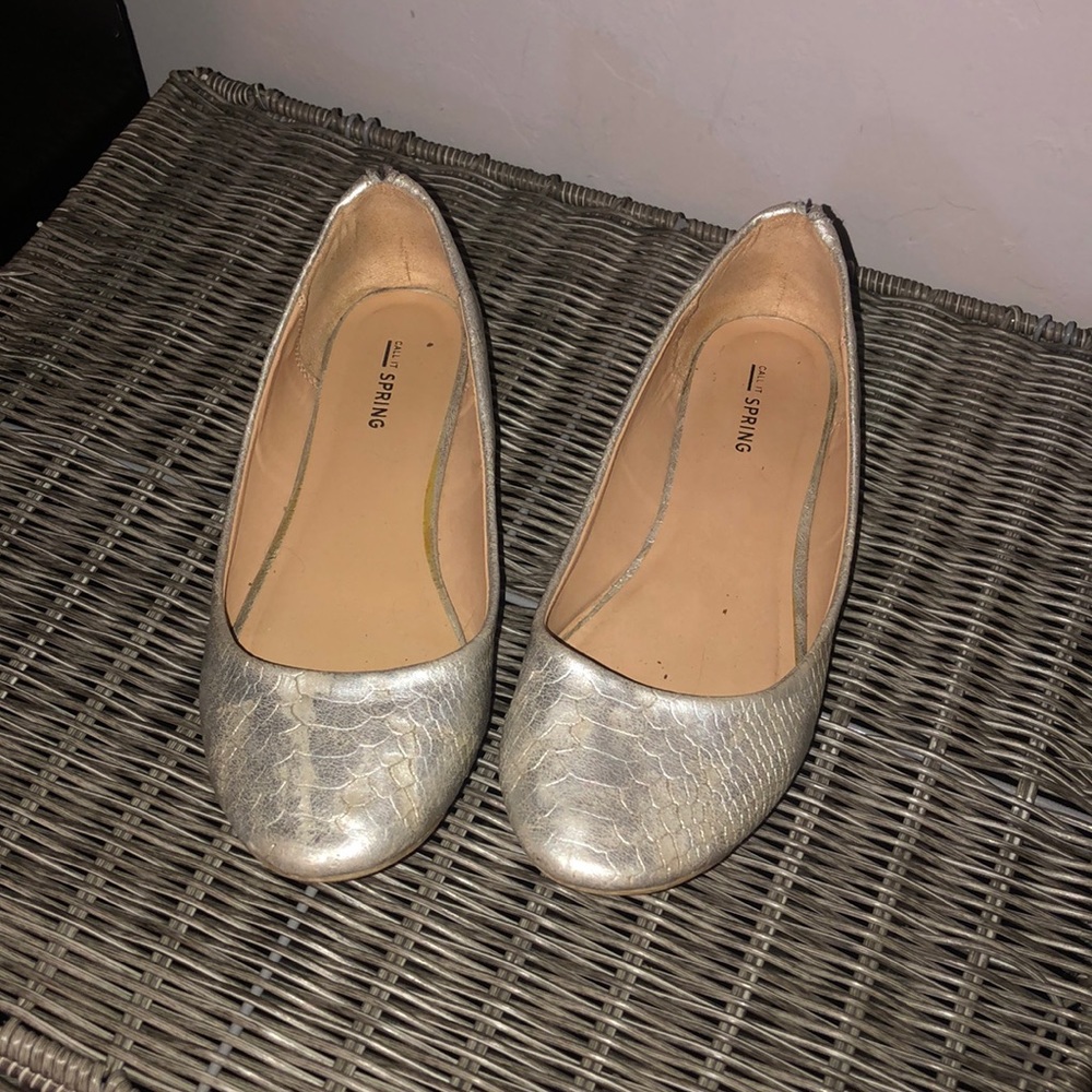 Silver flats